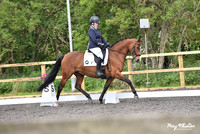 Freestyle Music Novice