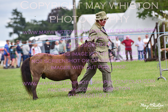 MAY_3595
