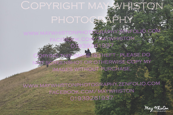MAY_7382
