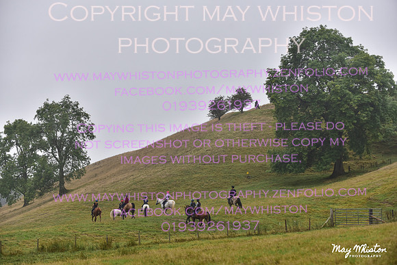MAY_7384
