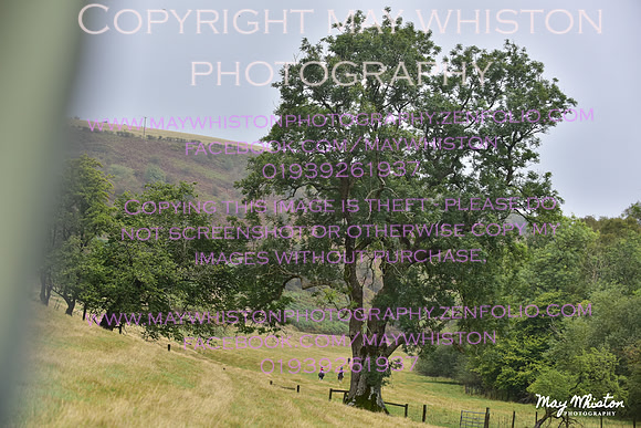 MAY_7420