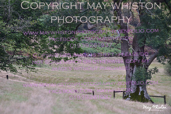 MAY_7565