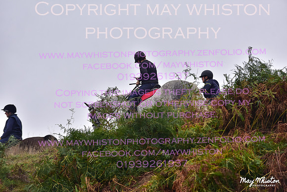 MAY_7567
