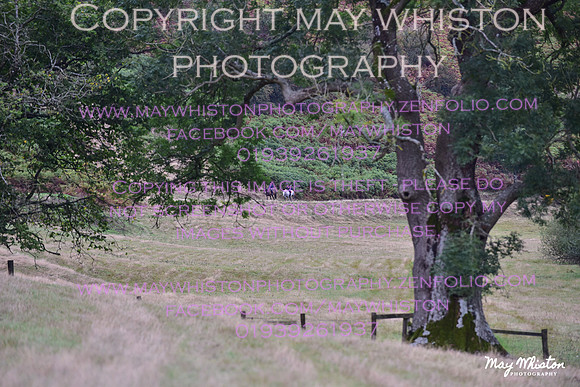 MAY_7566