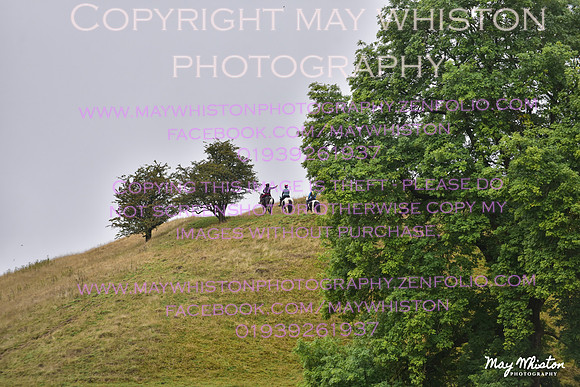 MAY_7767