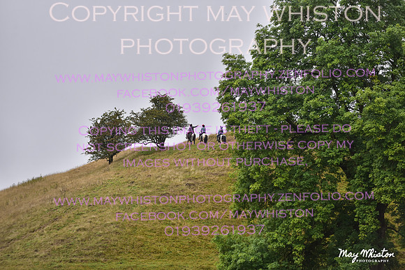 MAY_7768
