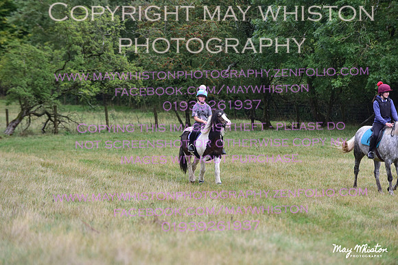 MAY_7919