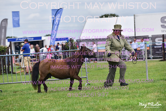 MAY_3590