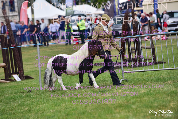 MAY_3611