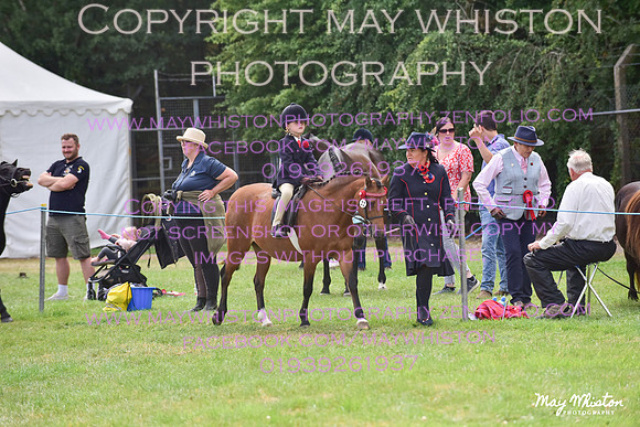 MAY_3927
