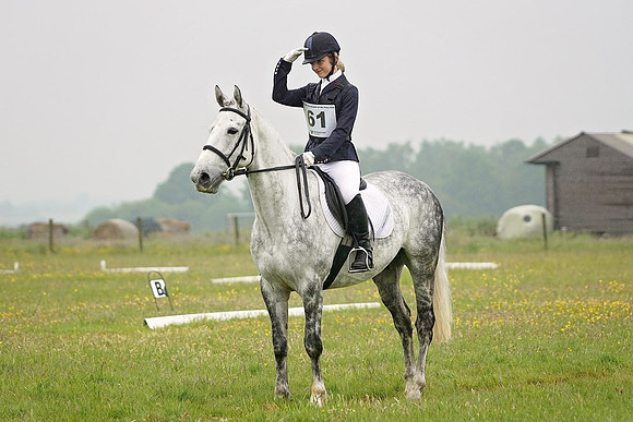 lrg_DSC08173