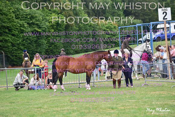 MAY_3541