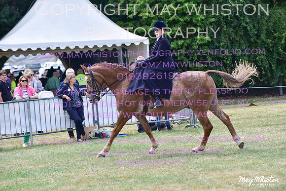 MAY_3959