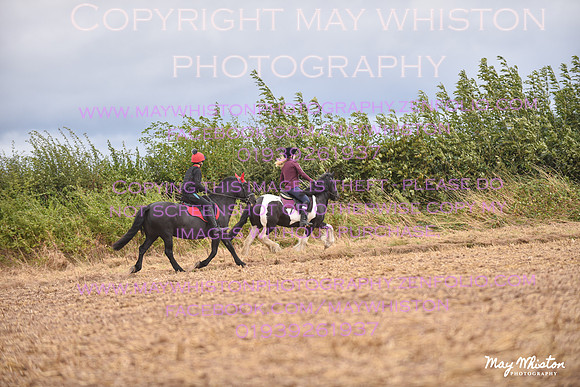 MAY_6066