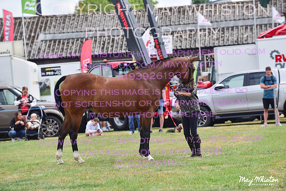 MAY_3679
