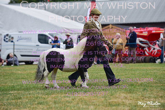MAY_3624