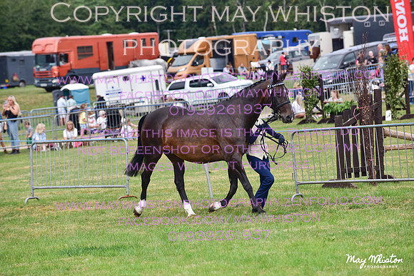MAY_3559
