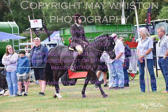 MAY_2581