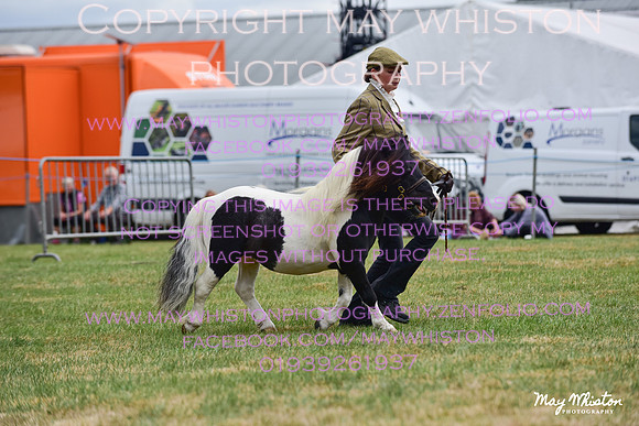 MAY_3622