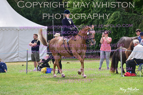 MAY_3895