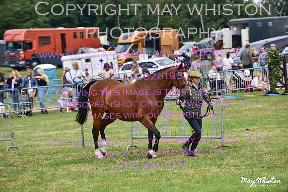 MAY_3676
