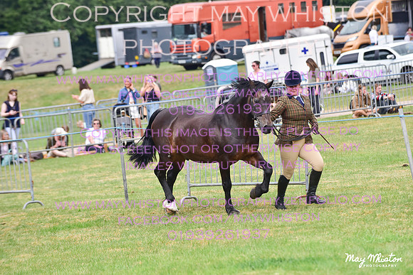 MAY_3571