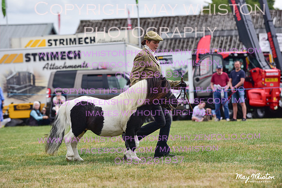 MAY_3627