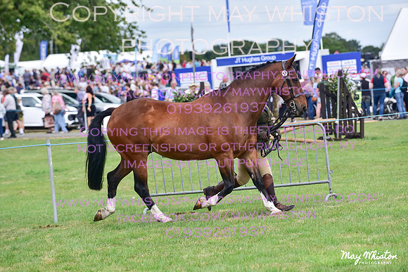 MAY_3551