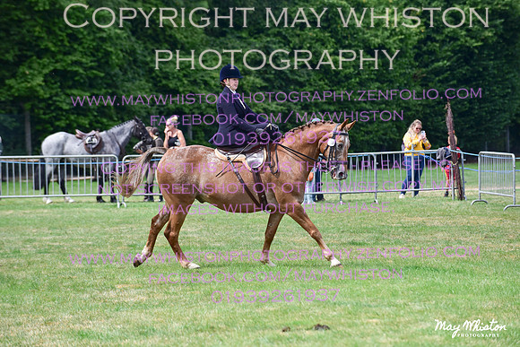 MAY_3956