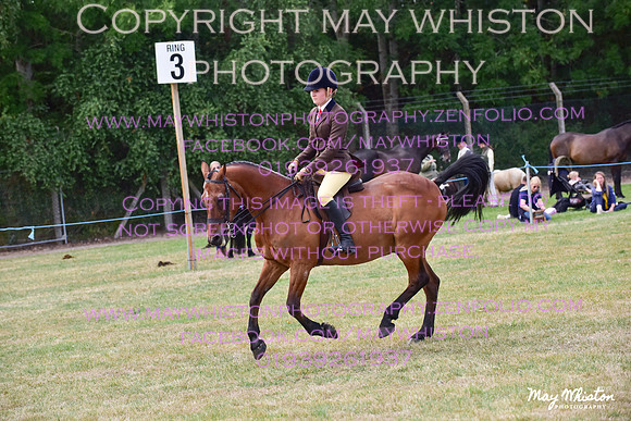 MAY_3975