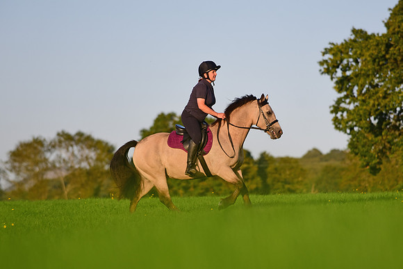 MAY_3859