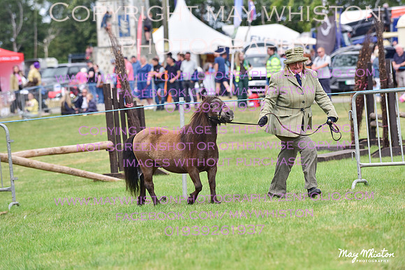 MAY_3588