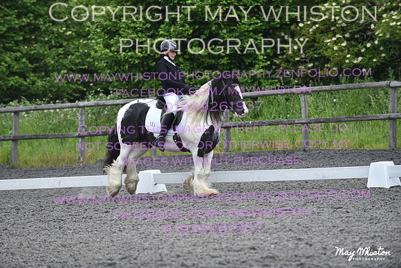 MAY_9560
