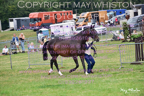 MAY_3557