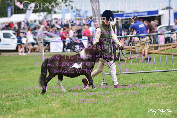 MAY_3584