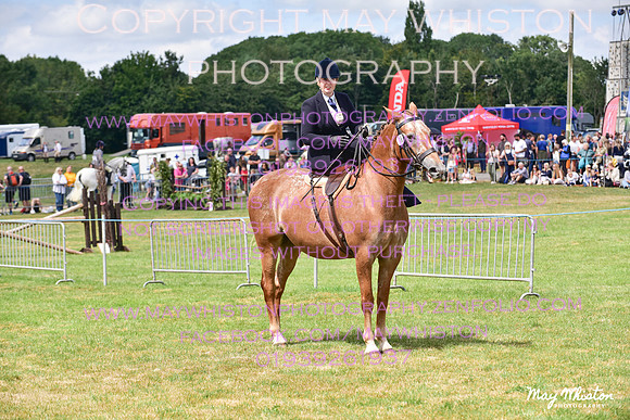 MAY_3964
