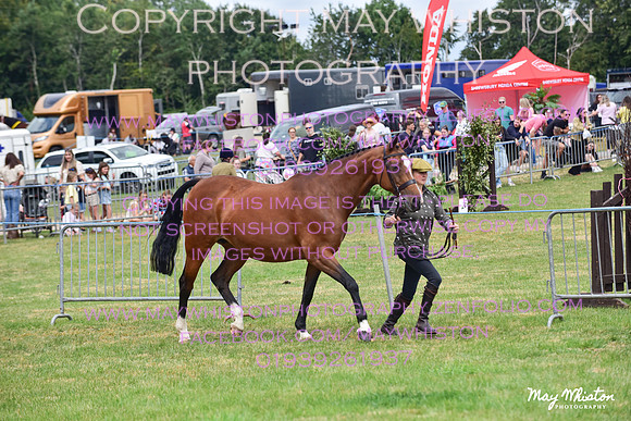 MAY_3677