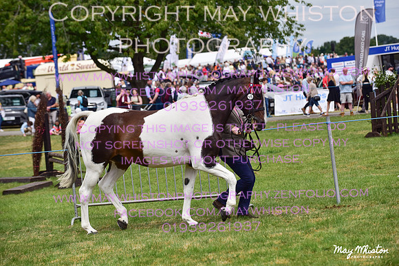 MAY_3648