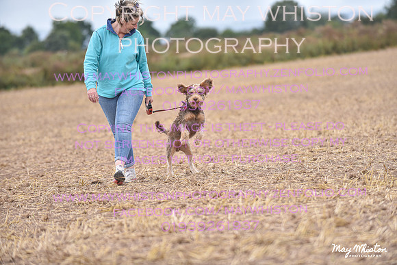 MAY_4456