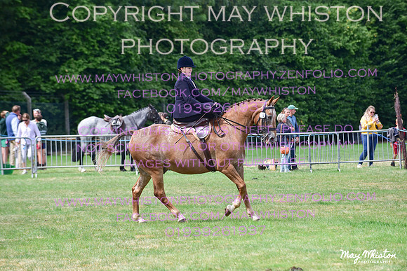 MAY_3955