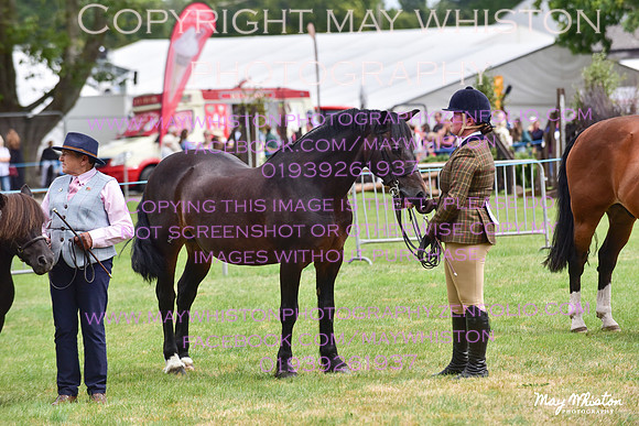 MAY_3728