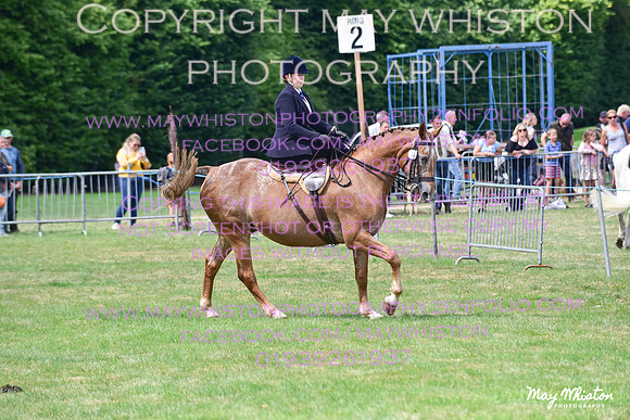 MAY_3958