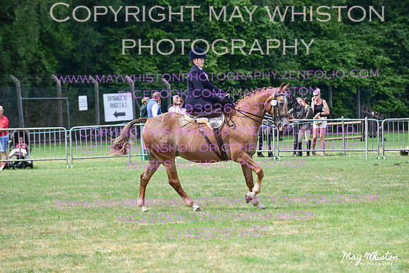 MAY_3953