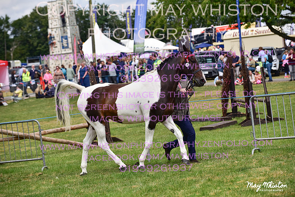 MAY_3646