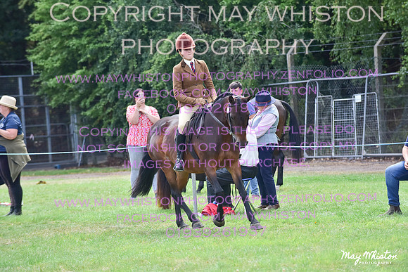 MAY_3884