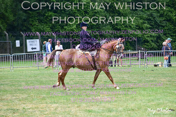 MAY_3954