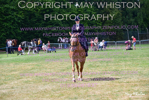MAY_3948