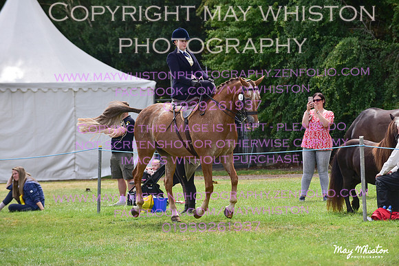 MAY_3894