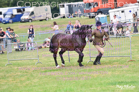 MAY_3569