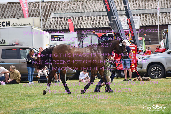 MAY_3670